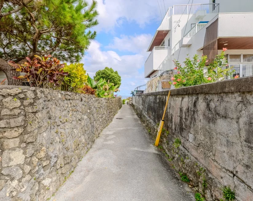 海が見えるスージ1