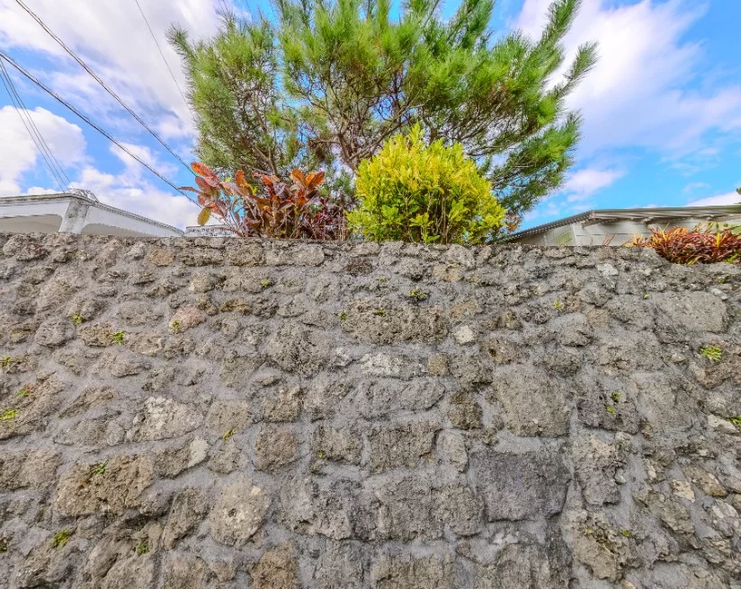 海が見えるスージ3